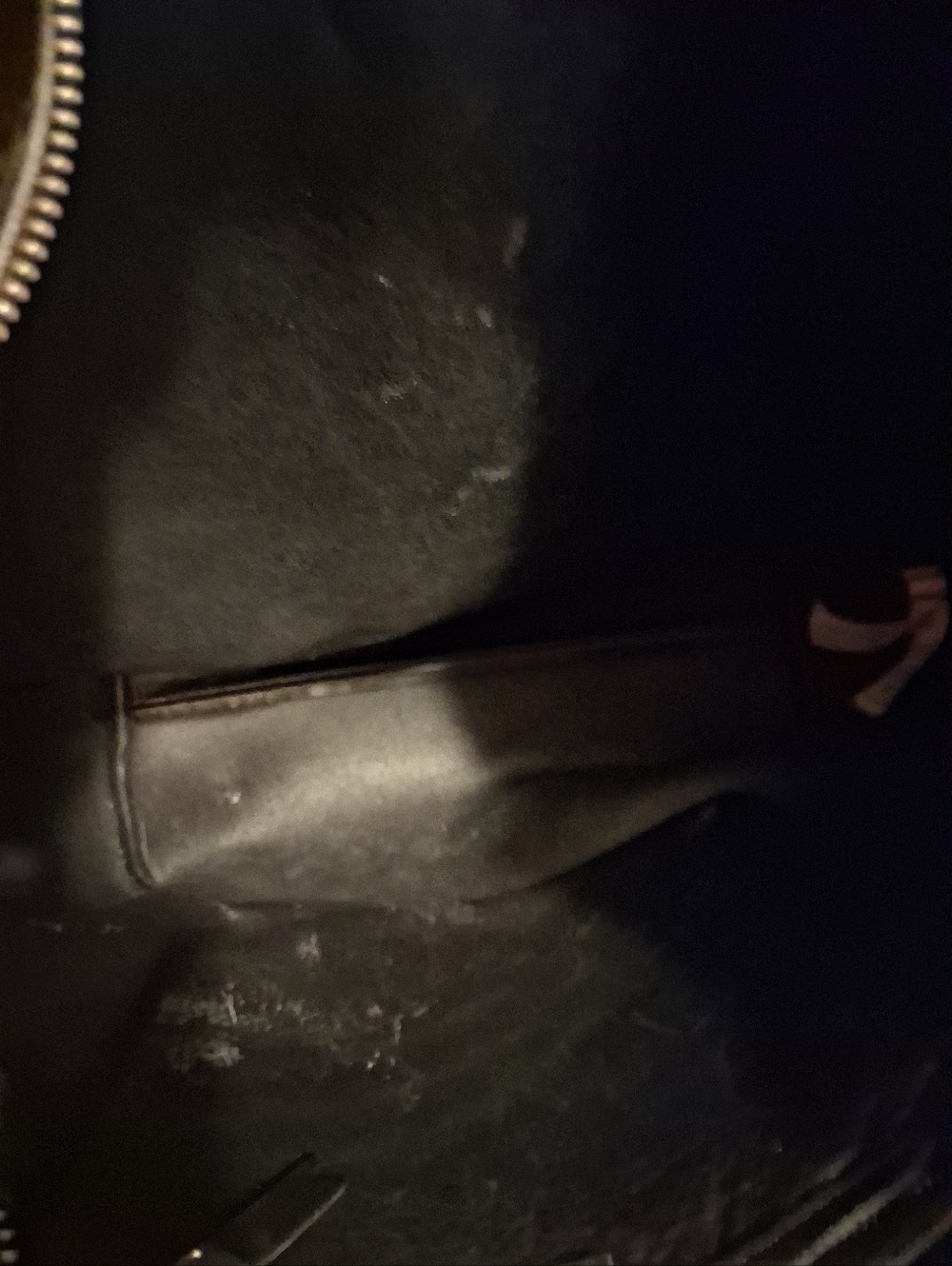 Classic Black Madewell Leather with Embroidered Adjustable Strap - Picture 5 of 5